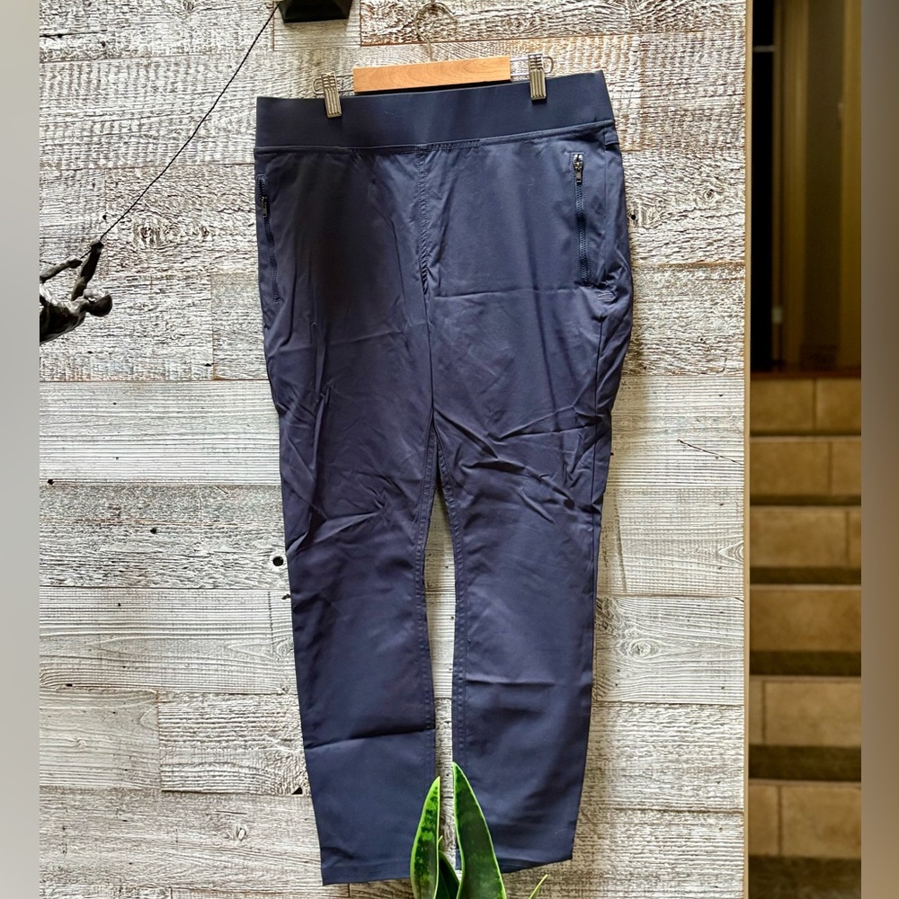 🏷 Toad & Co | Rover Moto Tapered Nylon Crop Pant - Women's 8/10, Blue/Gray